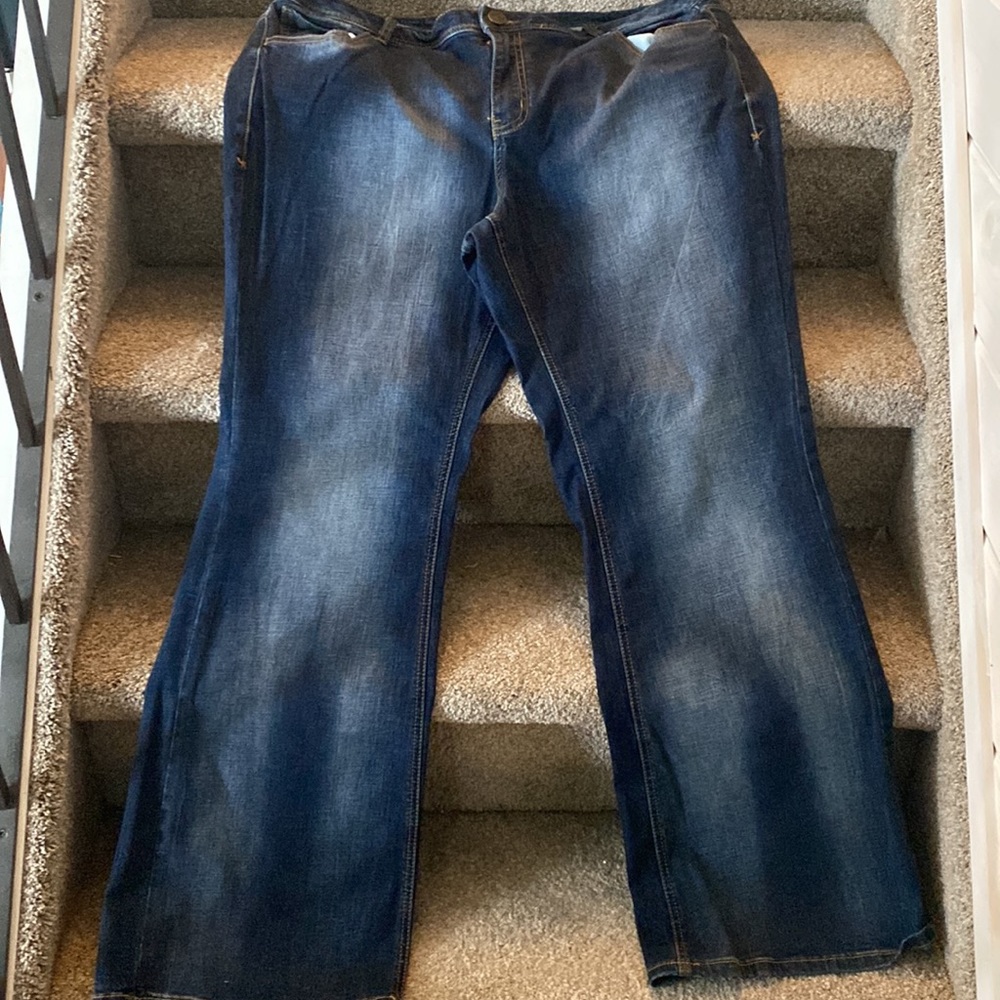 Lane Bryant Genius Fit Flare Jeans